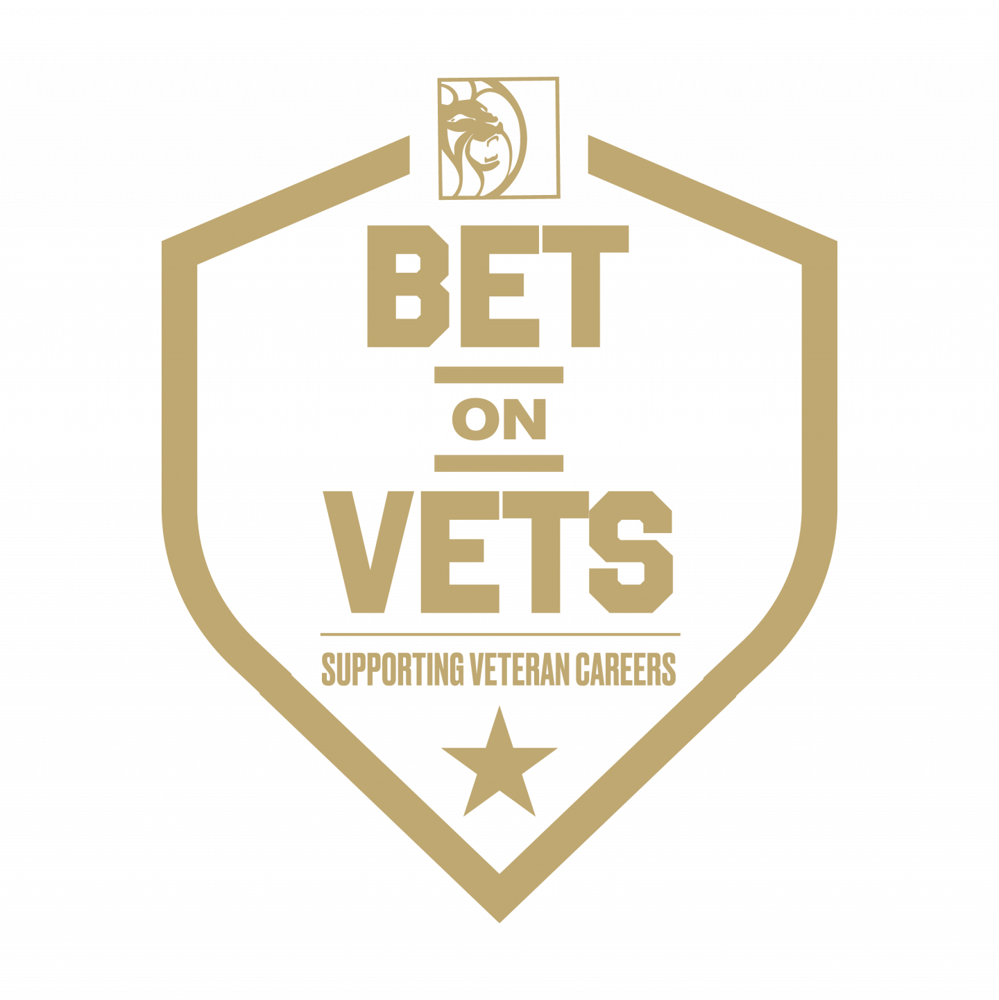 Betonvets